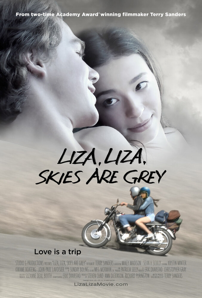 Лиза, Лиза, небеса серого цвета (2017)