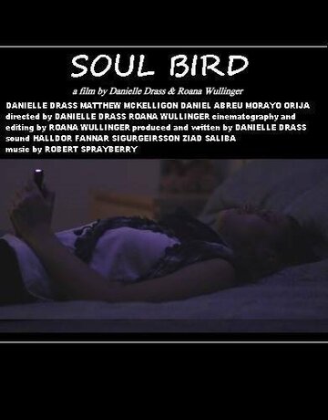 Soul Bird (2014)